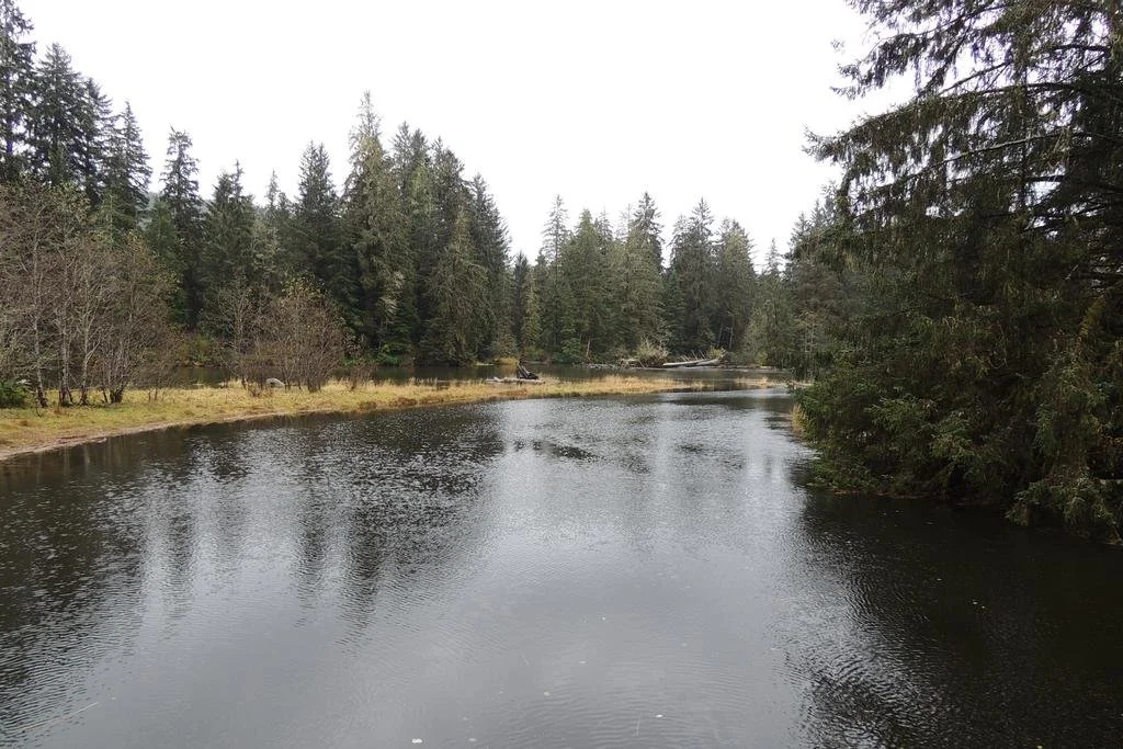 Remote Renfrew Riverside Retreat