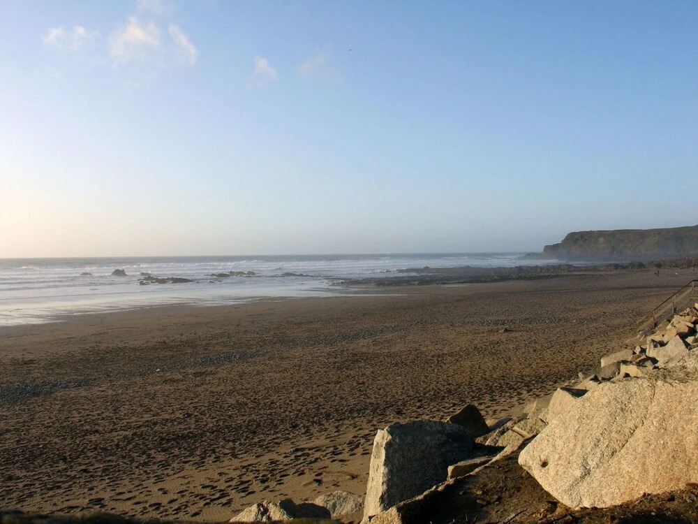 Driftwood