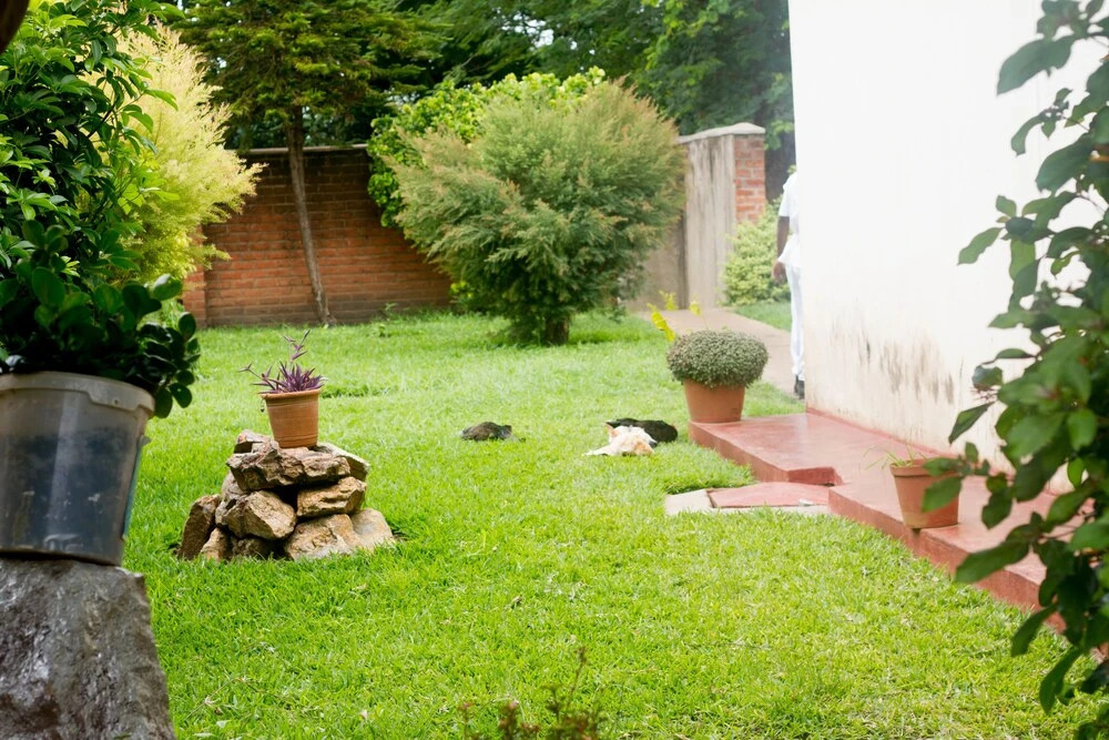 Nelly's Guesthouse
