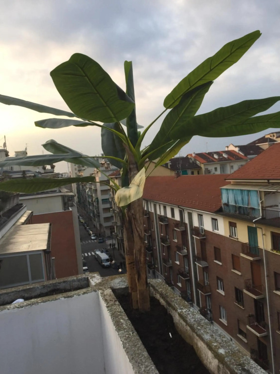 Attico Lux Turin