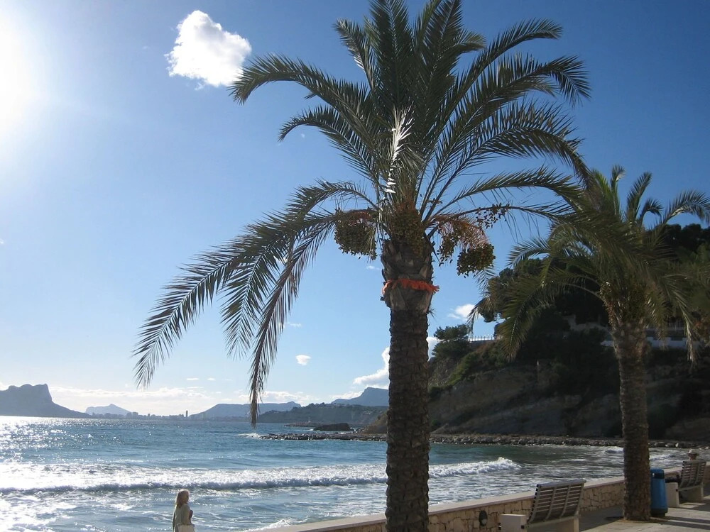 Spacious Villa in El Baladrar with Swimming Pool