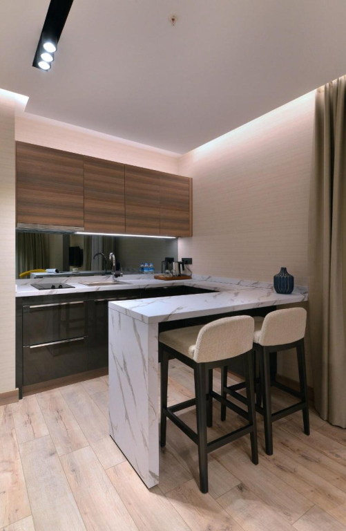 Nish Palace Exclusive Suites