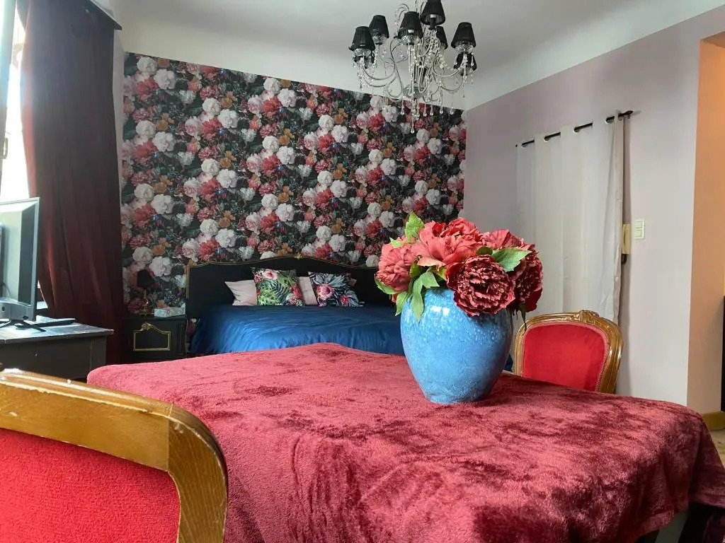 The Pink Studio - Exceptional location IN city center - Unique & Elegant