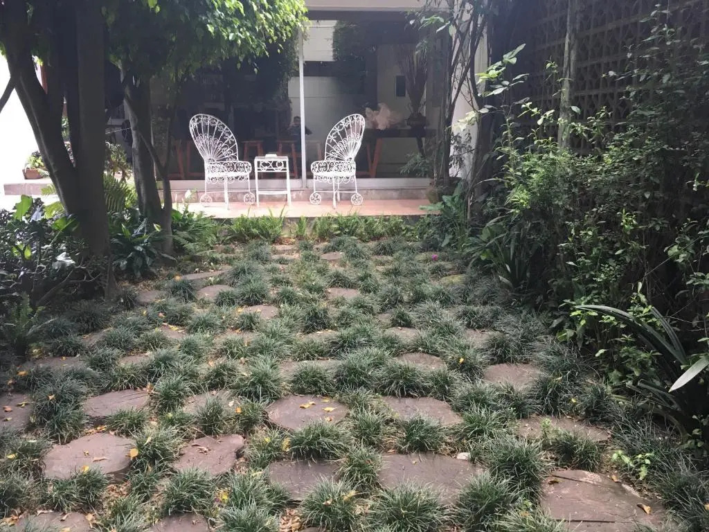 Hostal Cuija Coyoacan Berlin 268 Coyoacan