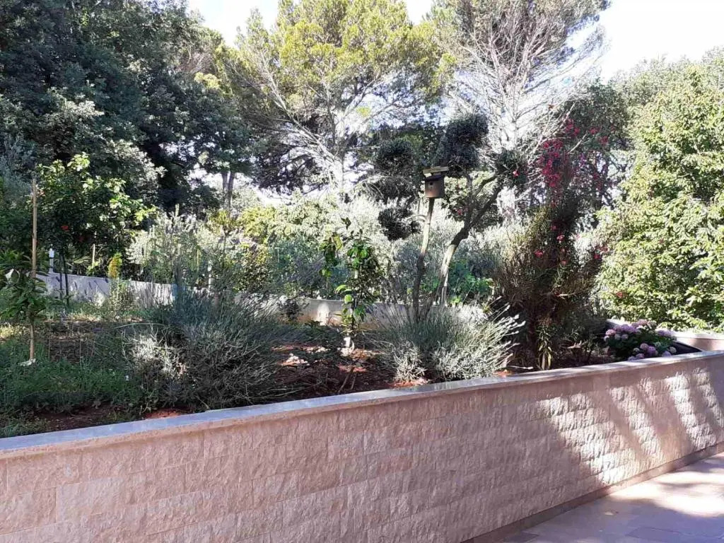 Apartments Marina-Mare
