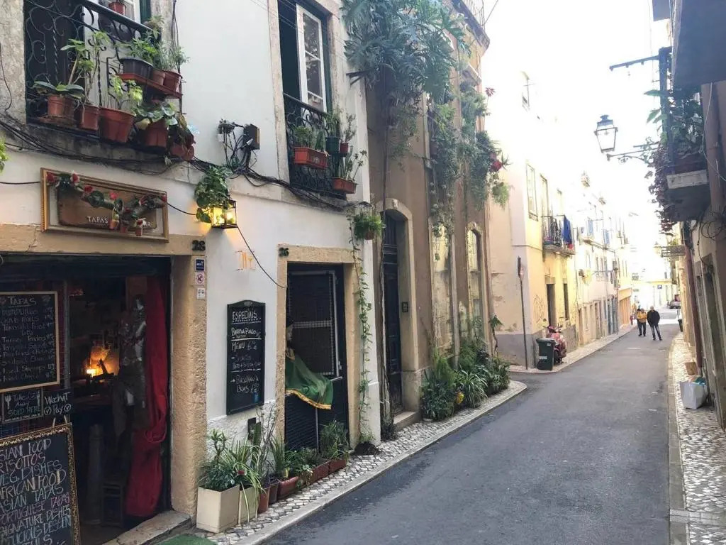 Perfect Historic Center Apartment