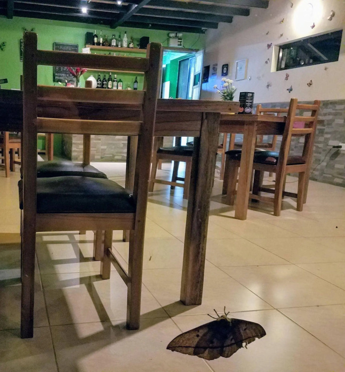 Las Terrazas De Dana Boutique Lodge