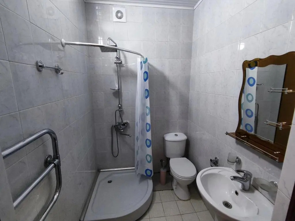 Guesthouse White Swan
