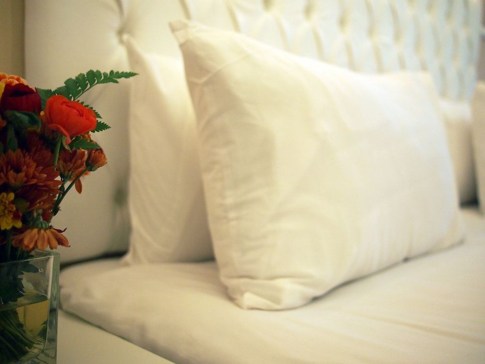 Litov Hotel