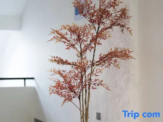 Qichi · Vitality Bubble World Houseparty Family Vacation Villa (Jinyun Xiandu Dinghu Peak)