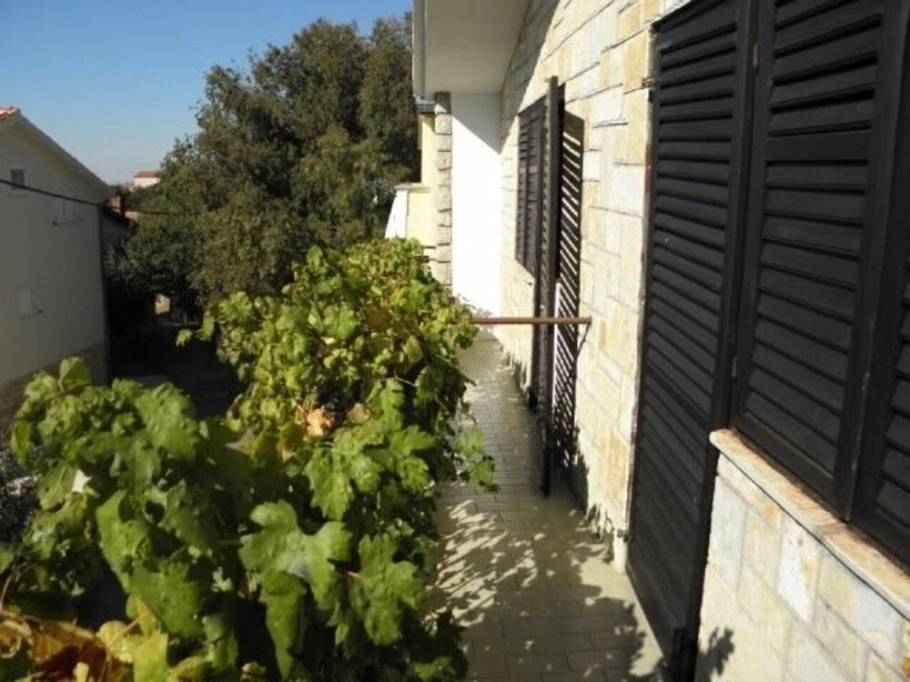 Apartments Mara