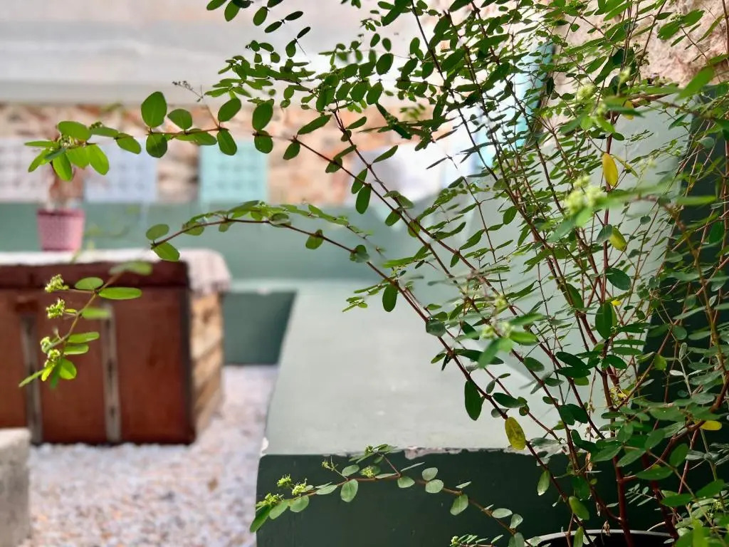 Five Brand New Boutique Apartments Central Athens