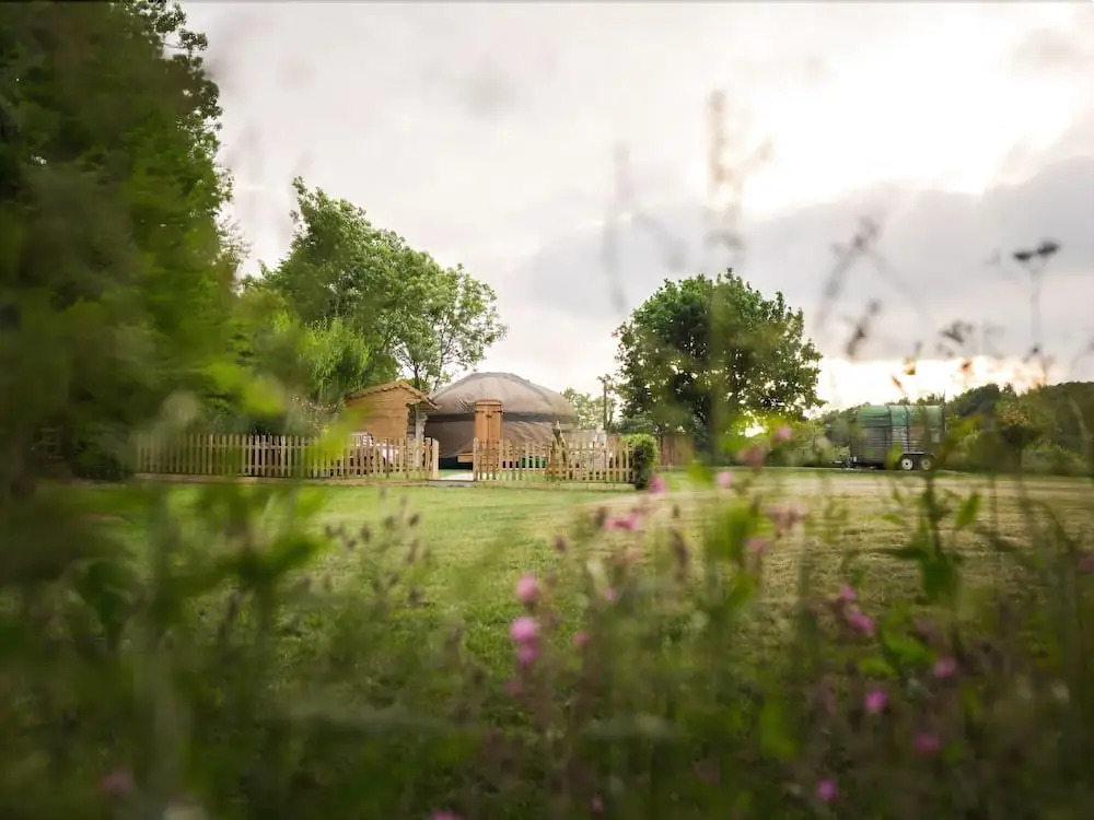 The Yurt at Hollands Farmhouse - Campsite