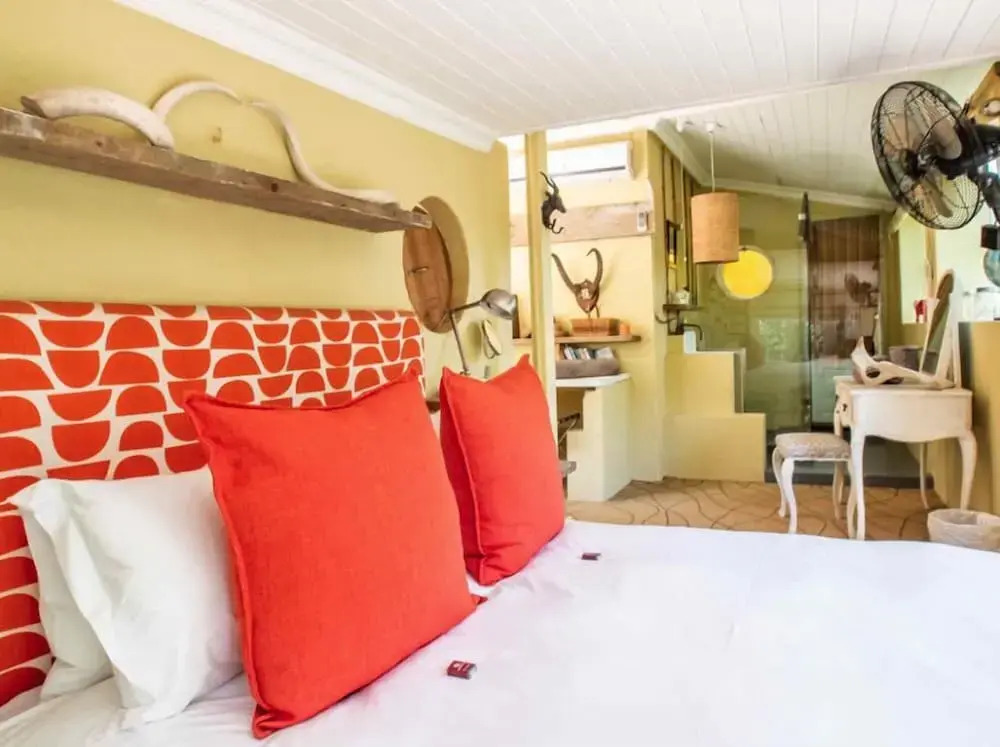 Aloe Corner Franschhoek