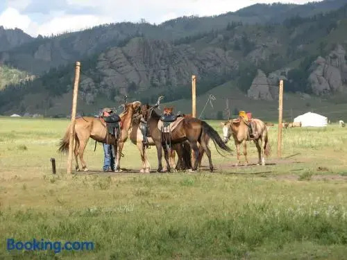 Vast Mongolia Tour & Hostel