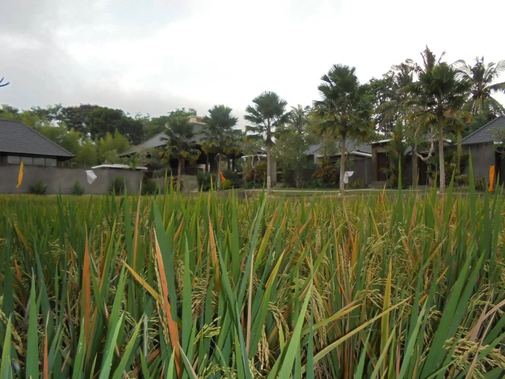 Umae Villa
