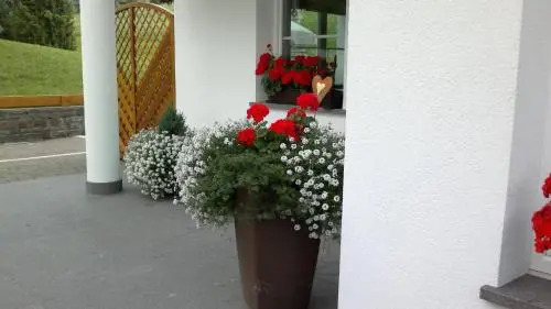 Apartments Antines