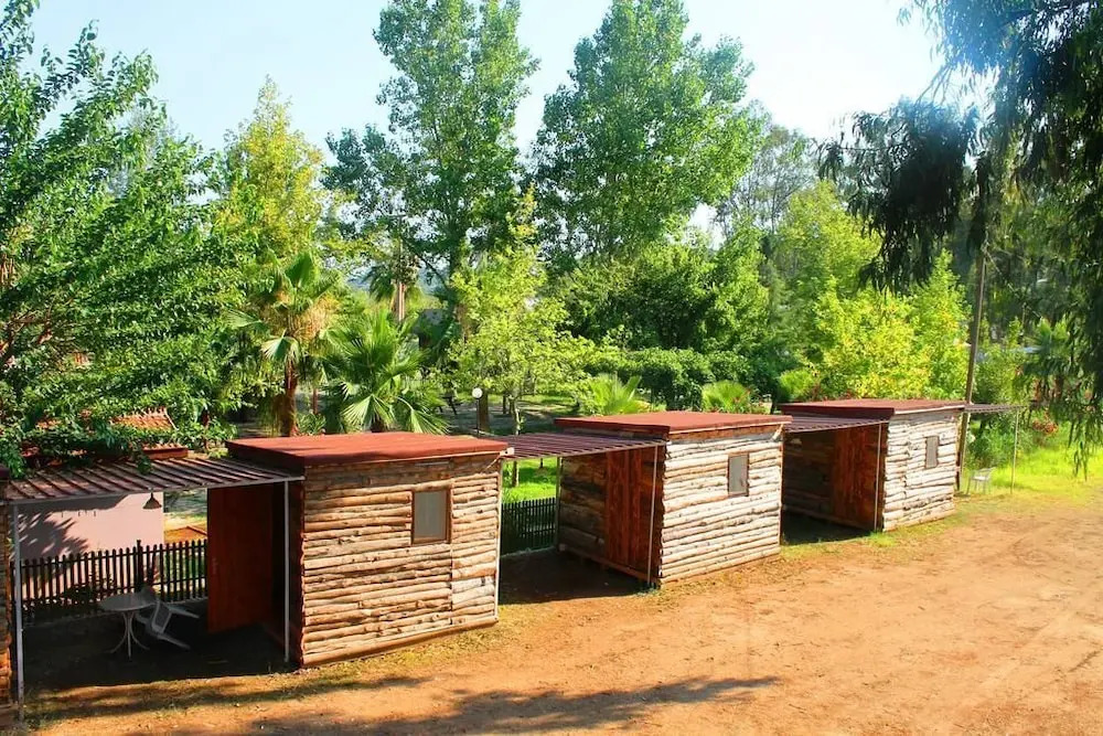 Medusa Camping