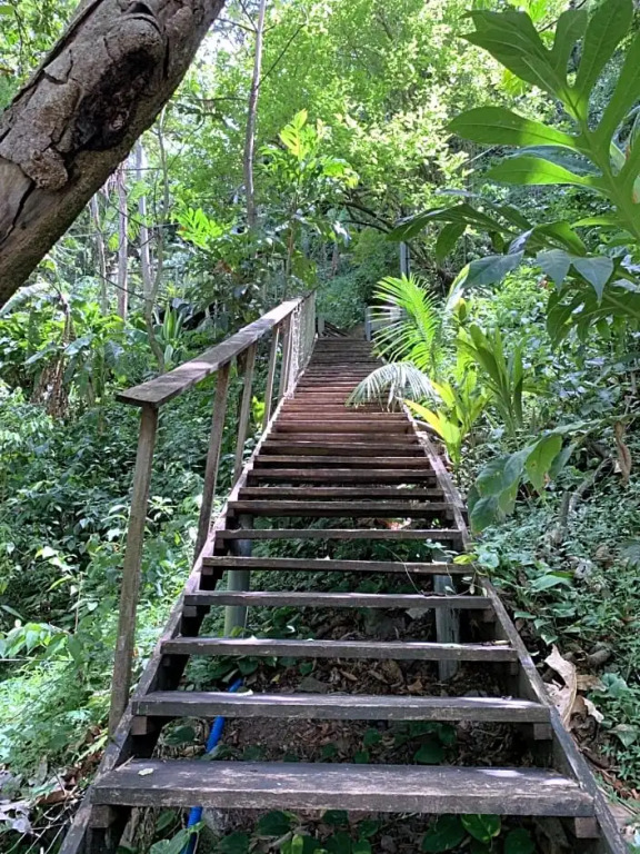mon Ecolodge Creole