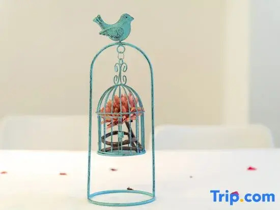 Tinghai Boutique Hostel