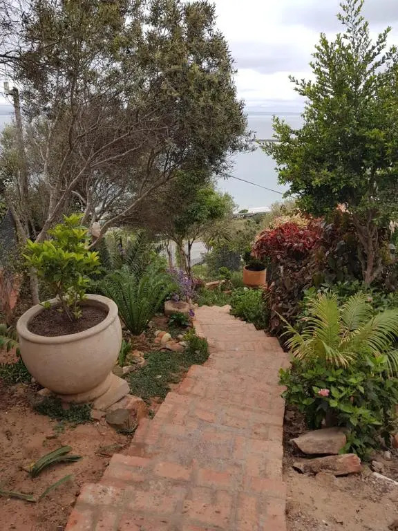 Beach Views