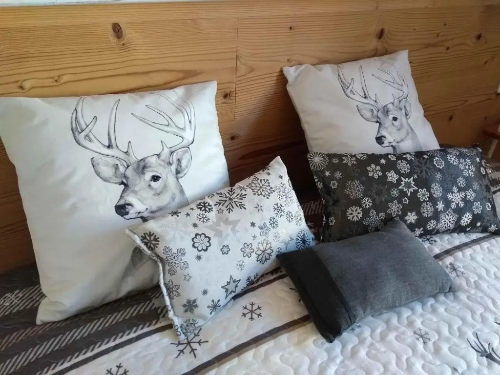 Cosy appartement La Bresse centre ville
