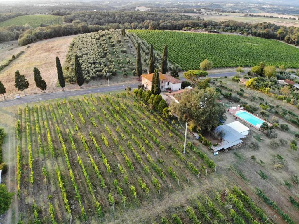 La Vecchia Quercia