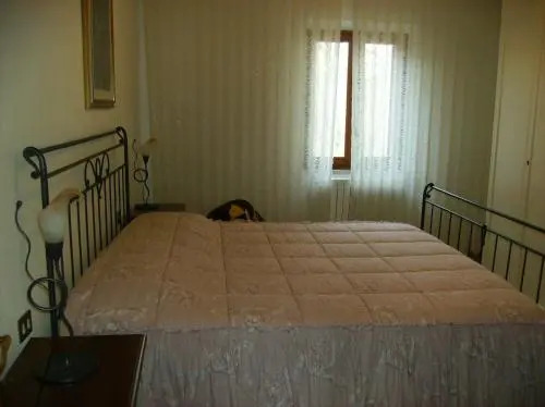 Il Vecchio Cipresso