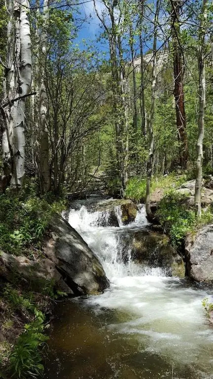 The Getaway,Hot Tub, AC, 2miles from RMNP