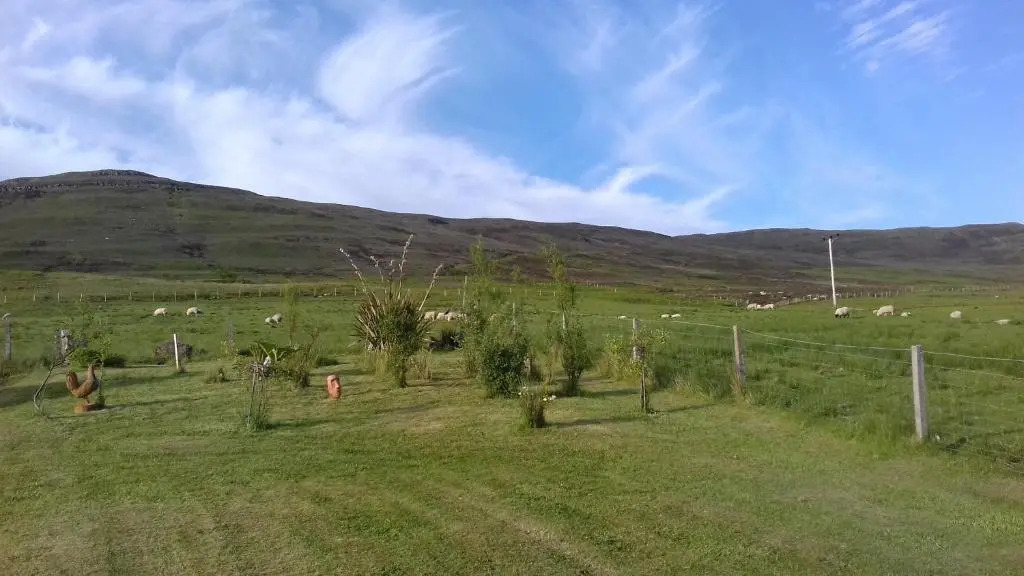Tigh A Raoin