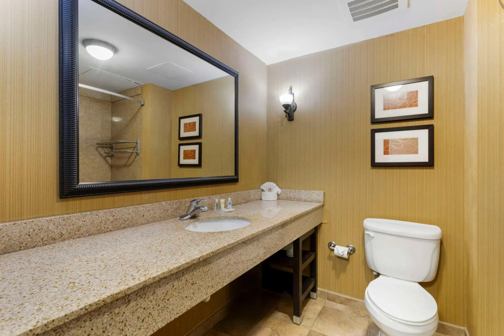 Comfort Suites Kodak Sevierville