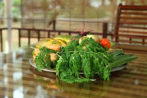 The Health Village