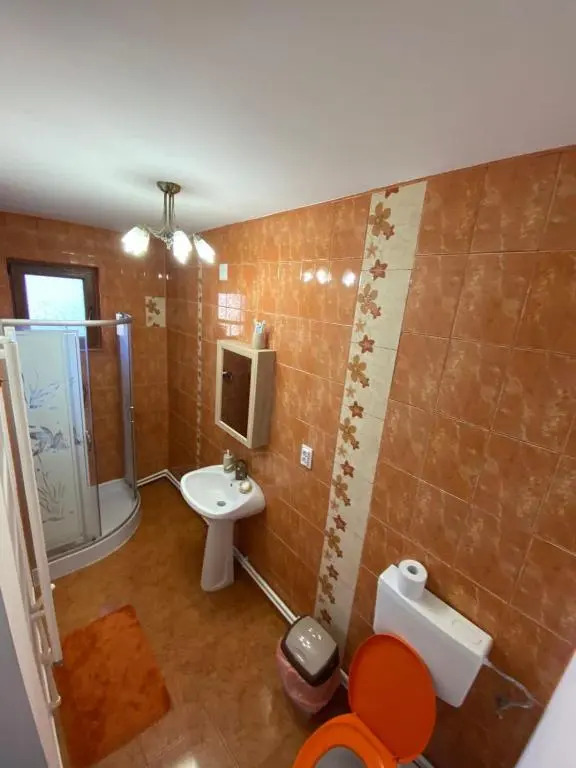 B House Bușteni