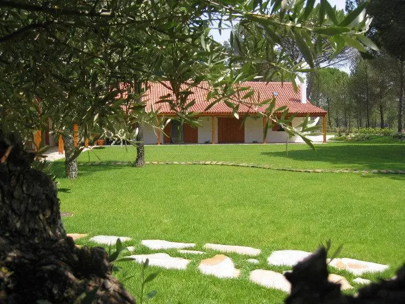 Brejo Da Amada