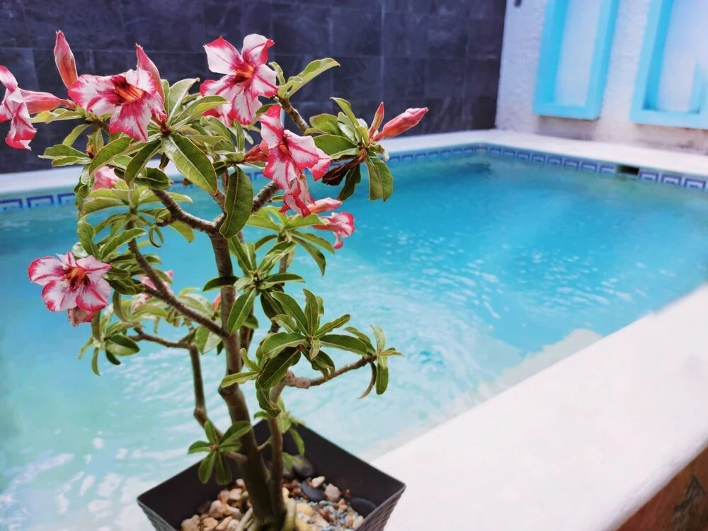 La Giraldilla Hotel