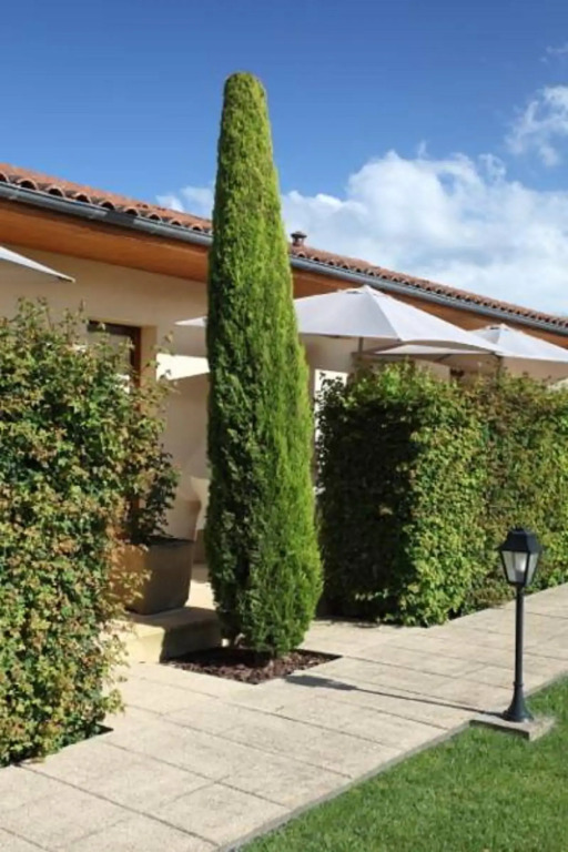 Hôtel Le Mas del Pechs - Chambres avec terrasse