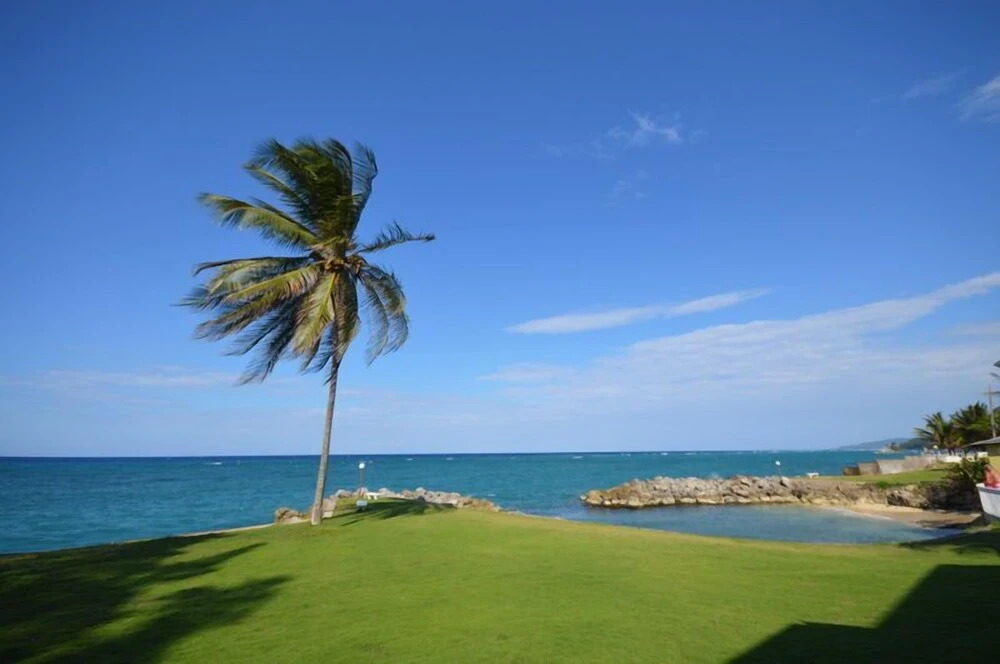 Coconuts Seafront 2BR, Ocho Rios