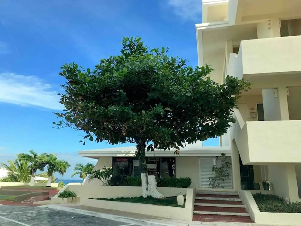 Ocean View 3 Bedroom apartment