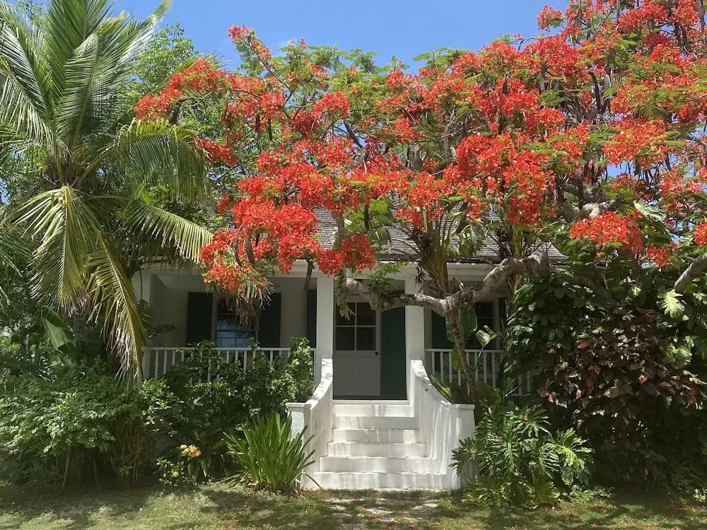 Buccaneer Hill Cottage 1 Bedroom Cottage