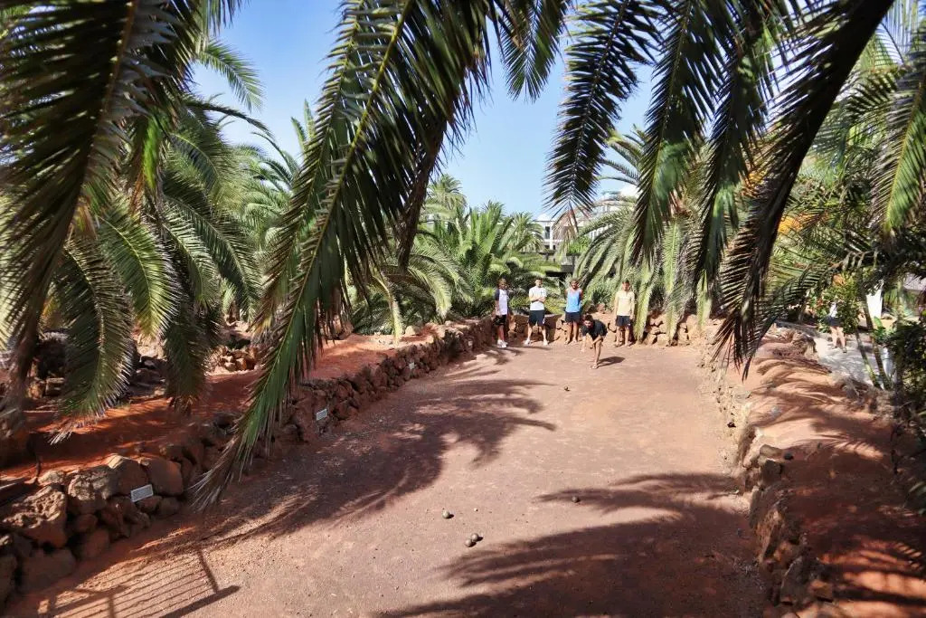 Las Marismas de Corralejo
