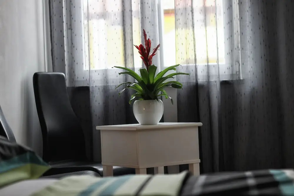 Guesthouse Esma