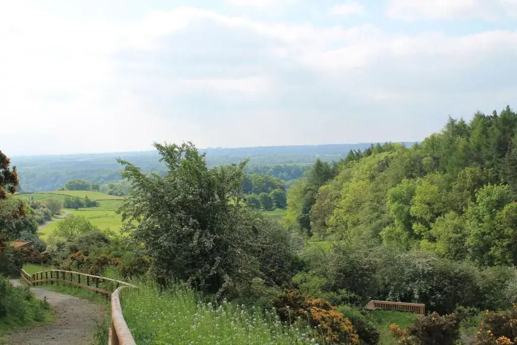 Yorkshire Dales Lodge 12 by Together Travel - 3-Bed Family Retreat