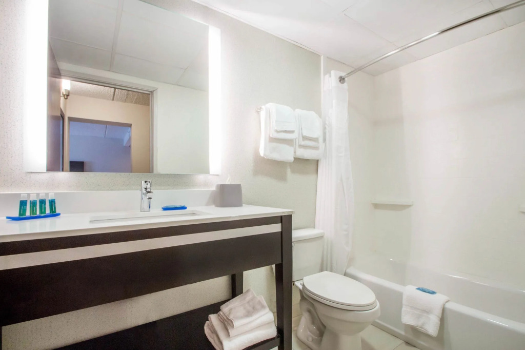 Holiday Inn Express & Suites - Albany Airport - Wolf Road by IHG
