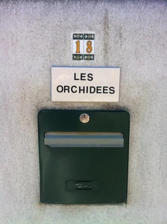 Les Orchidées