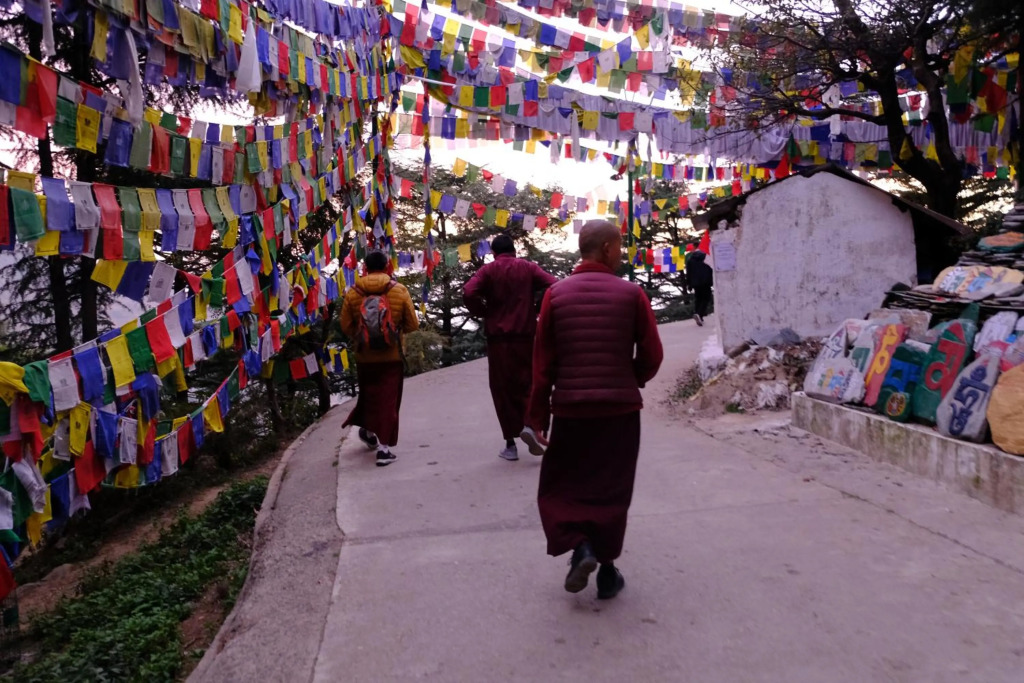 Mitra Mcleodganj