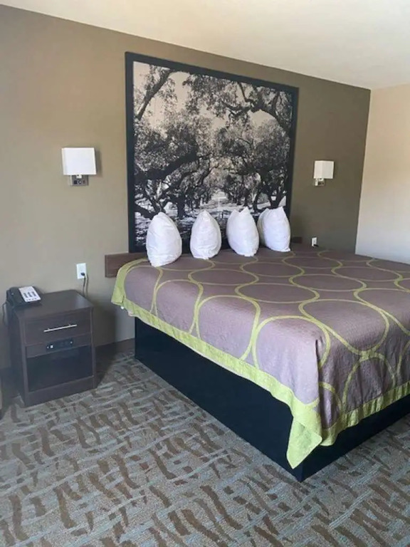 Surestay Hotel By Best Western Alexandria