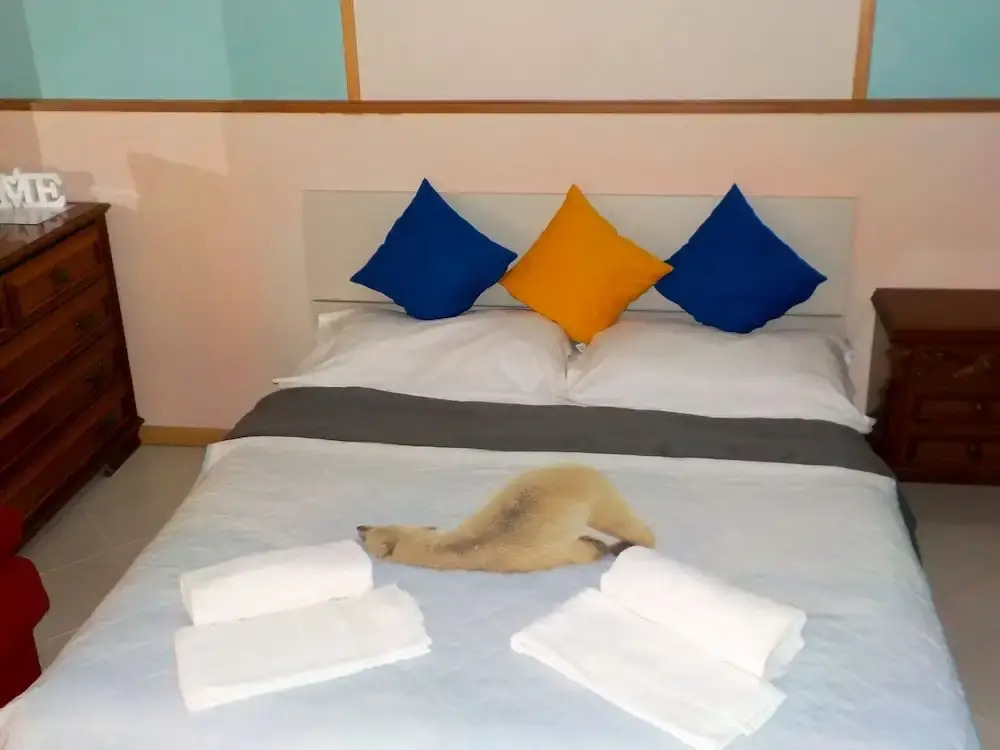 Tourist House