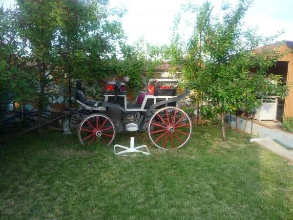 Pension Motanul Galanton