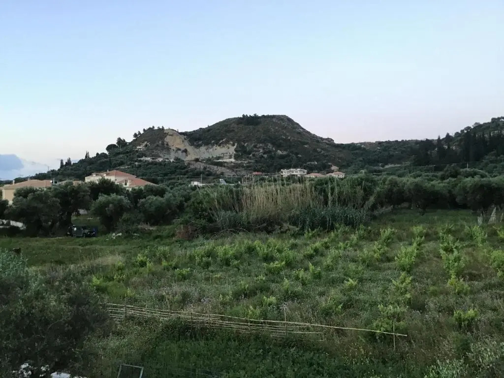 Summer Studio - Zakynthos!!