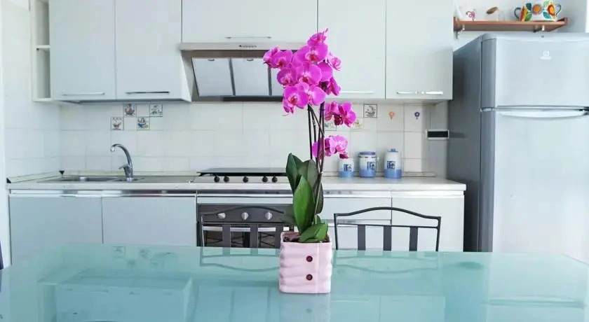 Villa Velina